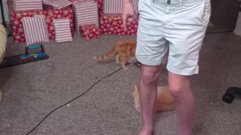 Snapshot of mattcashxxx chatting on 26, 12, 2024 Matt Cash online show from 26, 12, 2024