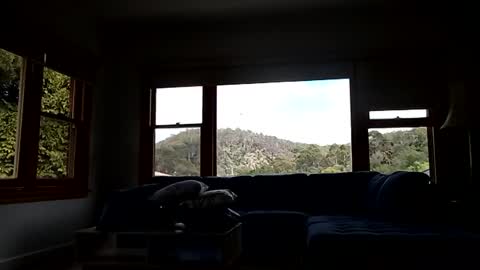 mattlesnake_101 online show from 15, 2, 2026