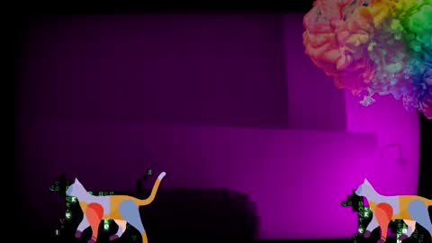 Future Max online show from 28, 1, 2025