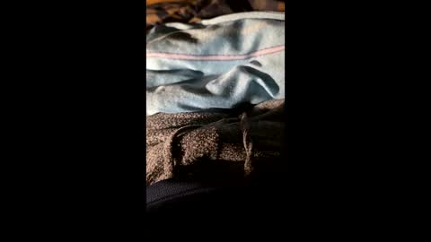 maxhot9977 online show from 20, 3, 2026