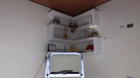 Sebastian online show from 25, 12, 2024