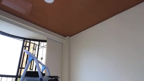 Sebastian online show from 30, 12, 2024