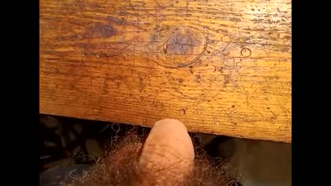 Max online show from 29, 12, 2024