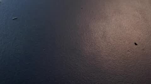 Max and Pam Voyeur Cam online show from 29, 1, 2025