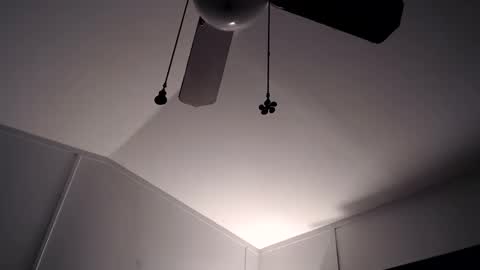 Max and Pam Voyeur Cam online show from 28, 11, 2025