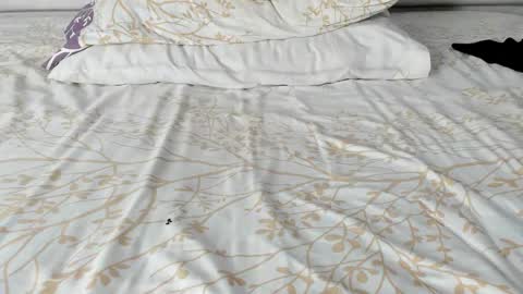 Maybelline69 online show from 20, 11, 2025