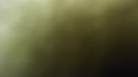 maylee_x online show from 15, 2, 2025