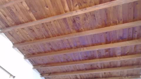 mayte online show from 2, 12, 2024