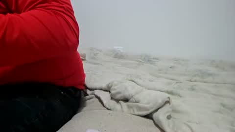 McFly online show from 28, 4, 2026