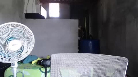 Mcgregor online show from 27, 12, 2024