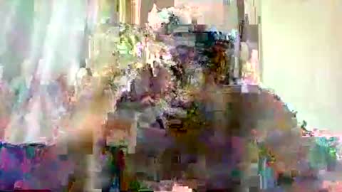 Snapshot of mclntz_bbc chatting on 13, 5, 2026 mclntz_bbc online show from 13, 5, 2026