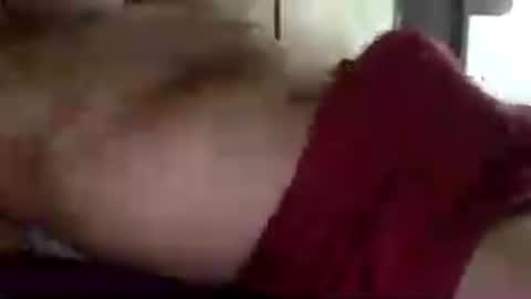 mecalientasmucho online show from 25, 7, 2026