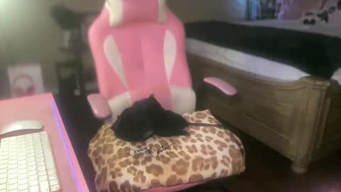 Southern Peach online show from 27, 9, 2025