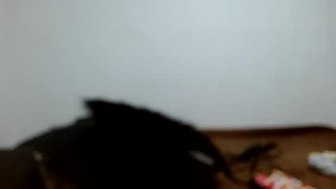 Snapshot of meganharry chatting on 12, 7, 2026 meganharry online show from 12, 7, 2026