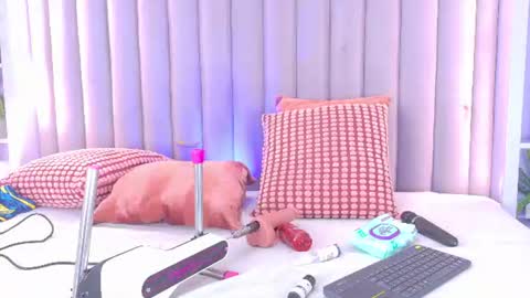 MEGAN online show from 24, 6, 2026