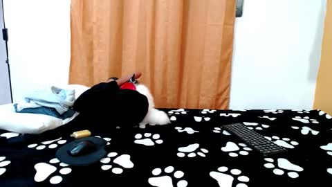 MEIS online show from 14, 3, 2026