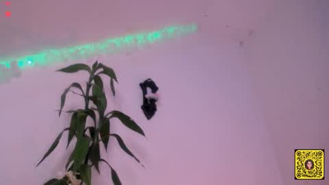 melissa online show from 20, 9, 2025