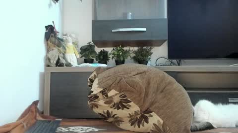 MellyMell  online show from 5, 3, 2025