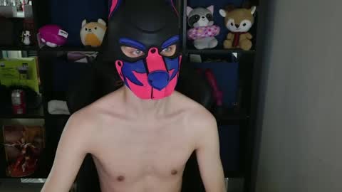 Snapshot of mellpup chatting on 15, 4, 2026 MellPUP online show from 15, 4, 2026