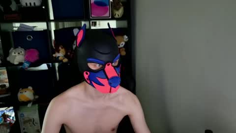 Snapshot of mellpup chatting on 26, 5, 2026 MellPUP online show from 26, 5, 2026
