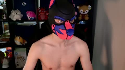 Snapshot of mellpup chatting on 8, 6, 2026 MellPUP online show from 8, 6, 2026