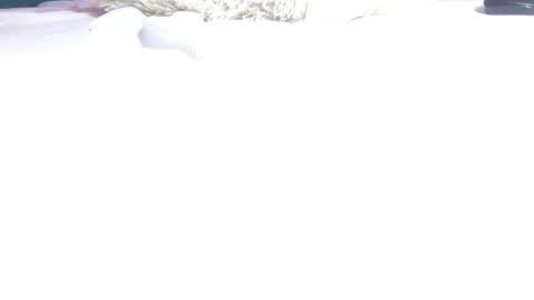 melody_mercy online show from 12, 3, 2025