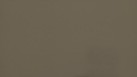 Melody online show from 16, 11, 2025