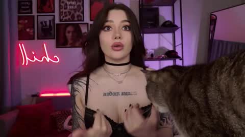 Amy Meow online show from 2, 3, 2026