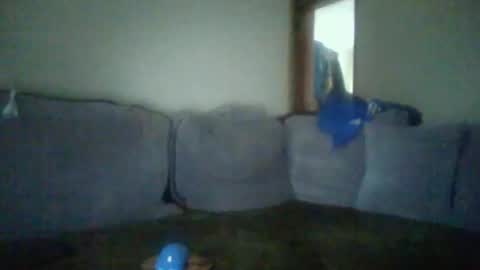 Snapshot of metcas chatting on 23, 10, 2025 metcas online show from 23, 10, 2025