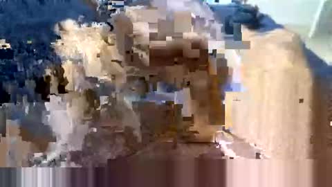 atx guy online show from 5, 6, 2026