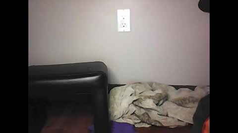 mi45419 online show from 2, 11, 2025