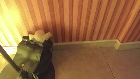 mia__blaze_ online show from 5, 2, 2026