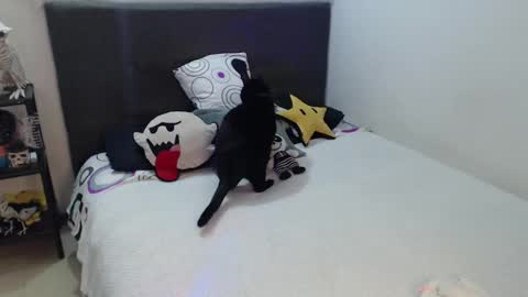 mia online show from 4, 10, 2025