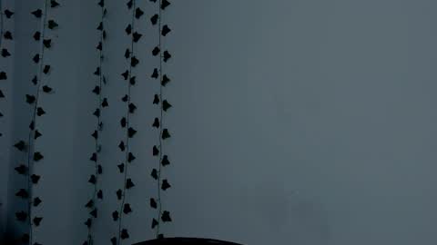 MIA online show from 23, 9, 2025