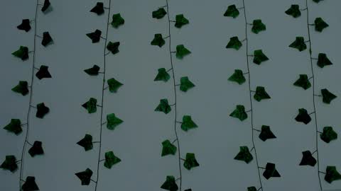 MIA online show from 12, 11, 2025