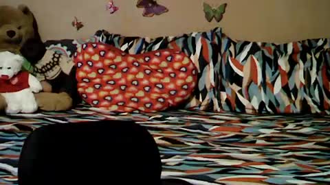 mia_rein online show from 26, 6, 2026