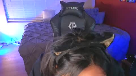 Mia online show from 21, 12, 2024