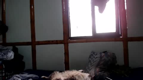 Mia  Sam online show from 4, 10, 2025