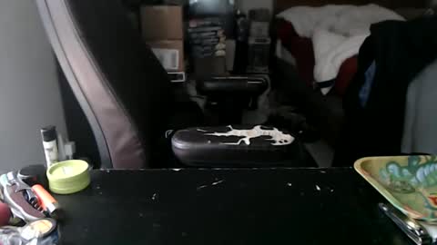 Mark online show from 12, 10, 2025