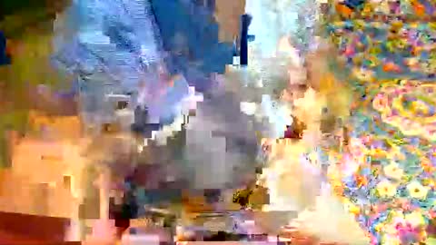 miamiwrestler online show from 2, 5, 2026