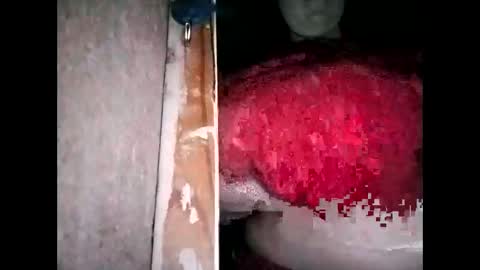 miamooreh online show from 13, 3, 2026