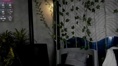 Mia online show from 29, 12, 2024