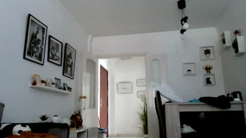 MILO MIAMI online show from 14, 7, 2026