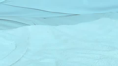 Michelle daniels online show from 18, 12, 2024