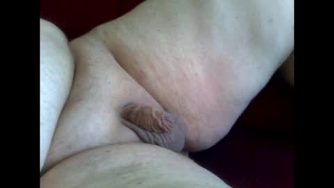 micropimmel online show from 18, 1, 2026