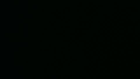 micwalrus online show from 5, 3, 2026