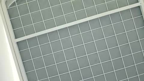 middleton2021 online show from 8, 1, 2025