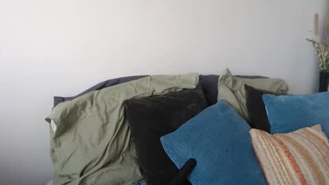 MidsummerNightsDream online show from 5, 1, 2026