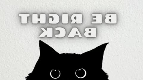 Mia online show from 27, 2, 2026