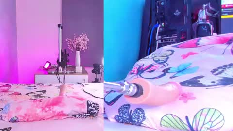 miiastone_cm online show from 1, 8, 2026